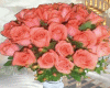 flowers roses salmao