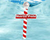 G* Ani North Pole