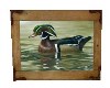 FRAMED MALLARD DUCK