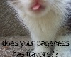 Kitty tasty pageness!!