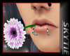 Mouth Flower M/F