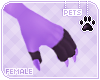 [Pets] Celest | claws