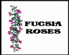 GM's Fucsia Roses deco