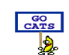 Bean with go cats banner