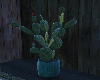 Plant Cactus
