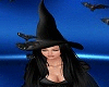 Hats Cat Raven Witch