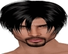 Beard Style