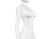 Body Scaler