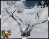 A3D* Tree Winter