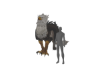 Matth Gryphe