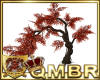 QMBR Tree Autumn