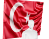 TÜRKİYE Bayrağı