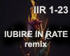 IUBIRE IN RATE - remix