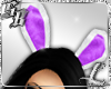 Purple Bunny Ears
