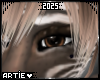 A* Astor | F/M Eyes