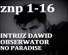 NO PARADISE- INTRUZ