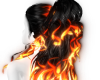 ☢ Stella Sunfire