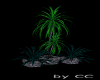 Club Plants Group