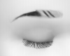 Il 2t brows bw 2