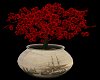 Nice Pot with  Red Roses