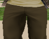 Brown Slacks