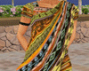 Indian Sari 1