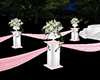 Wedding Aisle Rose