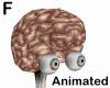 alive brain head ANI - F