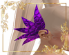 Royal Purple Angelis