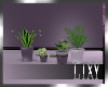 {LIX} City Plants 2