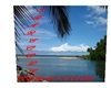 Seaview Poster/Backdrop