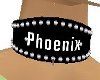 -V-Custom Phoenix Collar