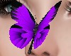 purple nose butterfly