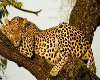 leopard  pillow  pile