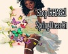Spring Dress R1