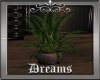 Rhinestone Plant