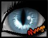 -DM- Grey Mainecoon Eyes