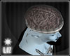 L* Brain Under Glass