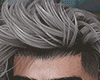 ♛ Em&iacute;lio Silver..