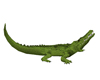 Animated Crocodile