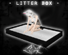 -LEXI- Dark Litter Box
