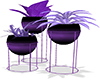 [A7md] Purple Plants