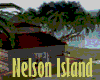 Nelson Island