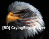 [BD] CryingEaglePlayer