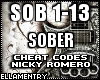 Sober-CheatCodes/NickyR