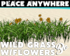 *BO GRASS WILDFLOWERS