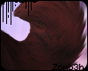z | Pup Tail - Wine 2