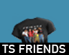 TS "Friends" [dsmk]