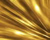 XXL Blk/Gold Regal Gown