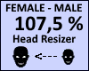 Head Scaler 107,5%